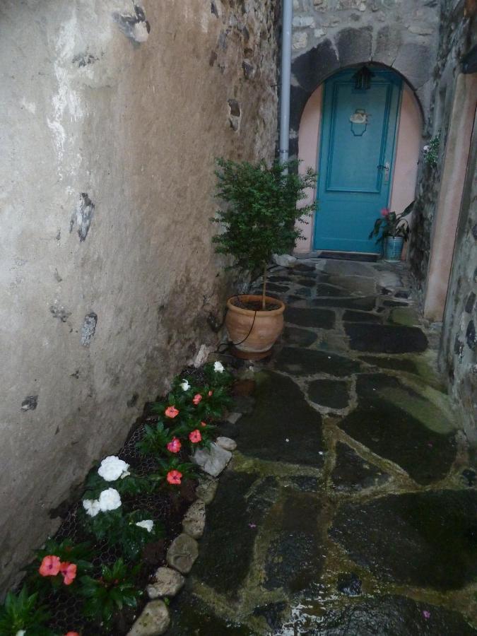 Bed and Breakfast Les Hibiscus à Saint-Jean-le-Centenier Extérieur photo